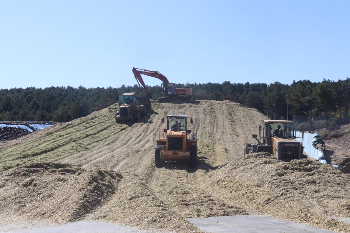 5d8c5d6bda462.jpg news19029-2.jpg