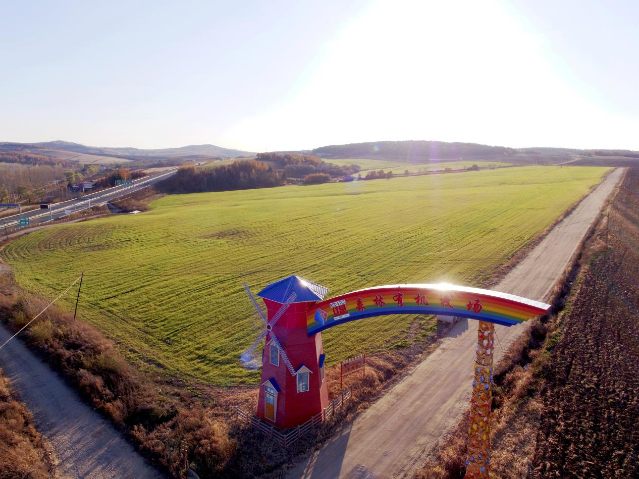 5dad58c3a5af3.jpg 8.jpg