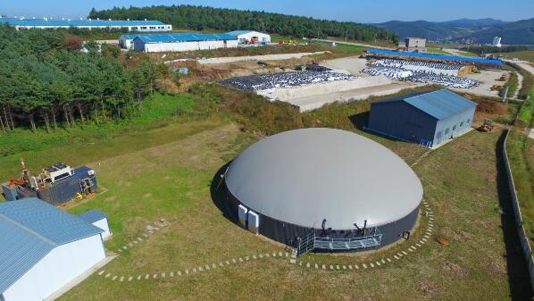 5dbd827db6702.jpg 5.jpg