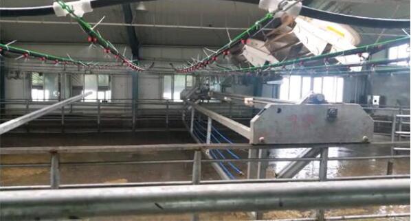 5dbd948262bc8.jpg 1.jpg