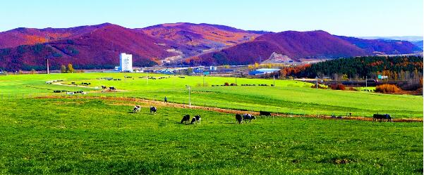 5dbd9e208fe7c.jpg 4.jpg