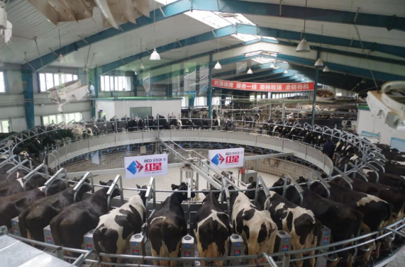 610cd5caae6bd.png 微信圖片_20210806142237.png