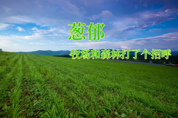 610cd7bd33c6b.png 微信圖片_20210806143208.png