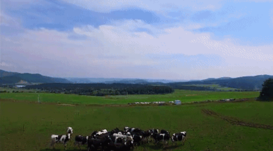 610cf270e07a9.png 微信圖片_20210806162552.png