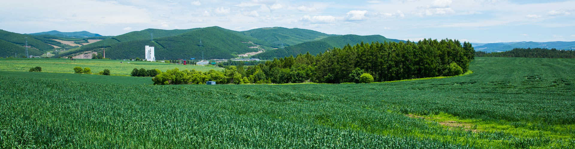 64002cca14857.png 草場2.png